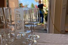 WhatsApp-Image-2023-08-26-at-19.44.00