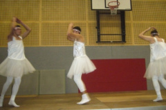 1197_Sterbende_Schw228ne_der_LJ_02