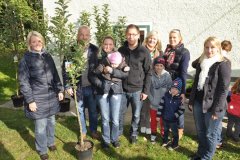 16346_Holzinger_Valerie_Traunsteinblick_17