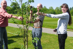 13729_Strasser_Antonia1