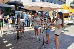 1068e251-9fe9-4d3f-9673-5ae0fcaa11a3