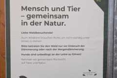 WhatsApp-Image-2025-06-17-at-19.59.20