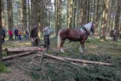 WhatsApp-Image-2025-03-24-at-10.58.11-1