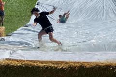 0bf454fd-5d25-4b87-94d3-011eeb74910b