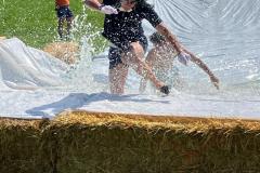 2c3d4d82-55e1-4f59-b9b4-23cbf00e9fc9