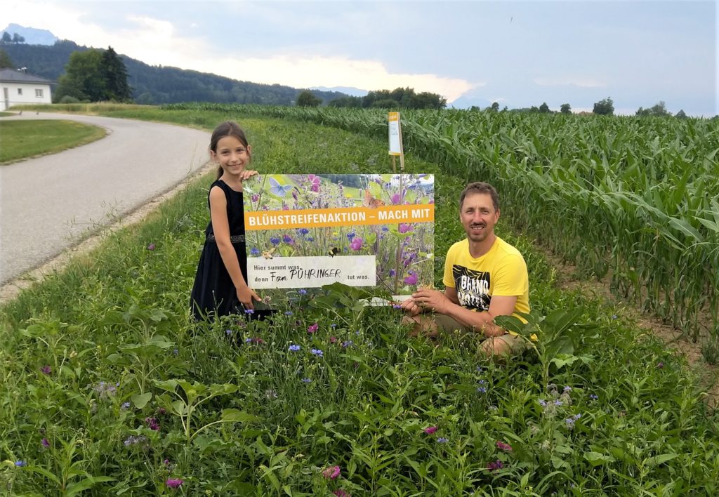 Zwei Fußballfelder voller Blühflächen angelegt!