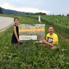 Zwei Fußballfelder voller Blühflächen angelegt!