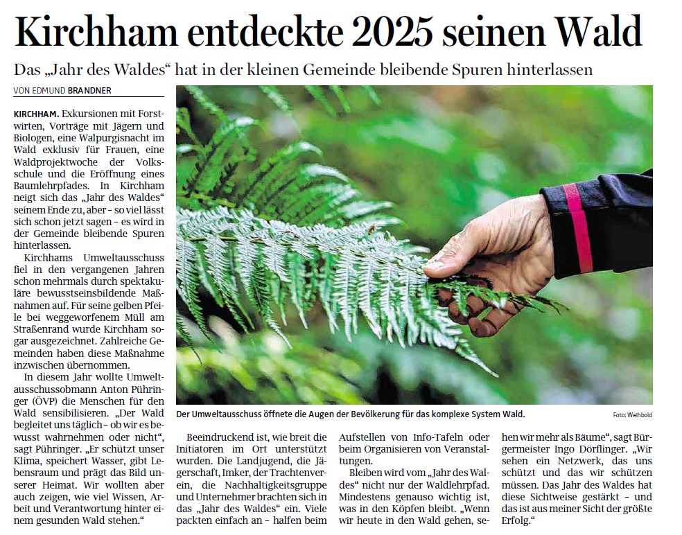 Kirchham entdeckte 2025 seinen Wald – ein Jahr, das bleibt!